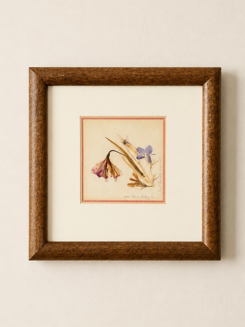 Vintage pressed wildflowers Oregon Framed  Signed Art Boho Matted Wood Glass